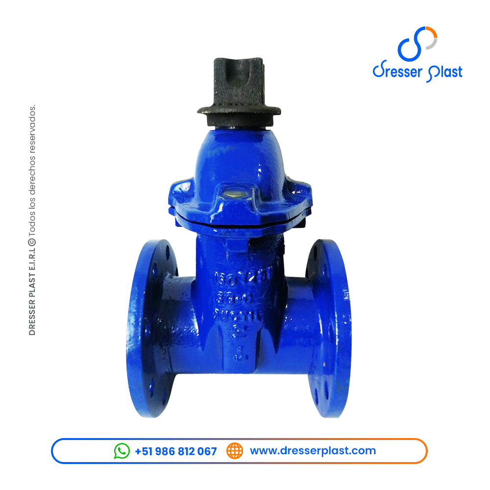 Válvula compuerta bridada Fumosac